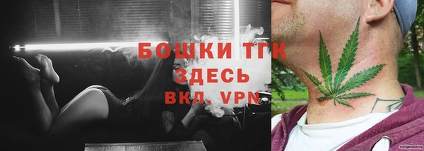 ГАЛЛЮЦИНОГЕННЫЕ ГРИБЫ Краснотурьинск