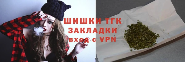 тгк Краснослободск