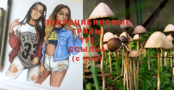 не бодяженный Красноперекопск