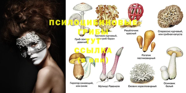 ГАЛЛЮЦИНОГЕННЫЕ ГРИБЫ Краснотурьинск