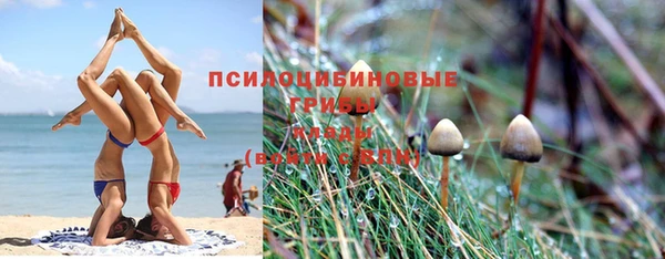 тгк Краснослободск