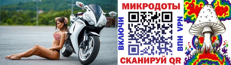 Купить закладки  Заволжье  Галлюциногенные грибы GOLDEN TEACHER 